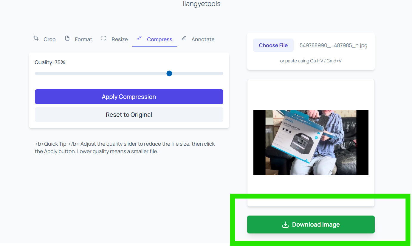 Download Image button after compression in liangyetools