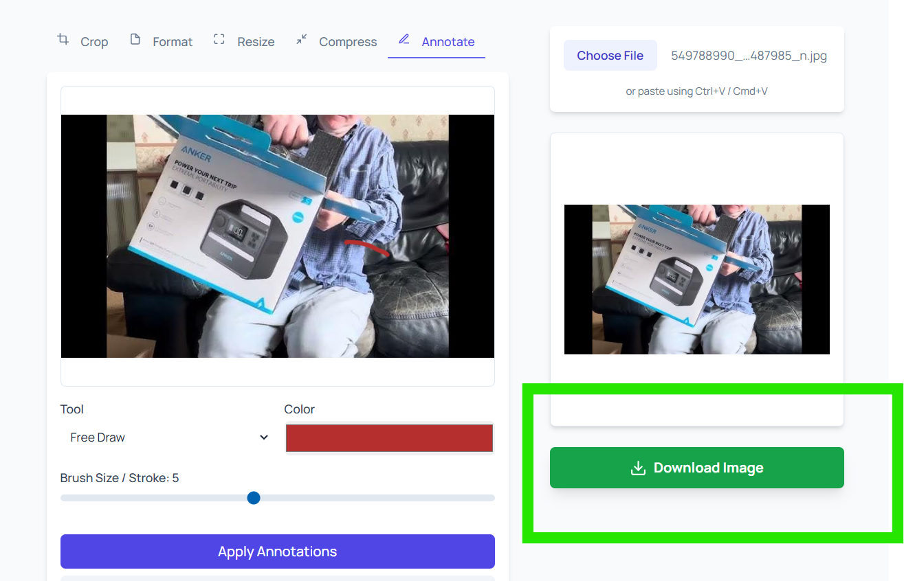 Download Image button highlighted after annotating in liangyetools