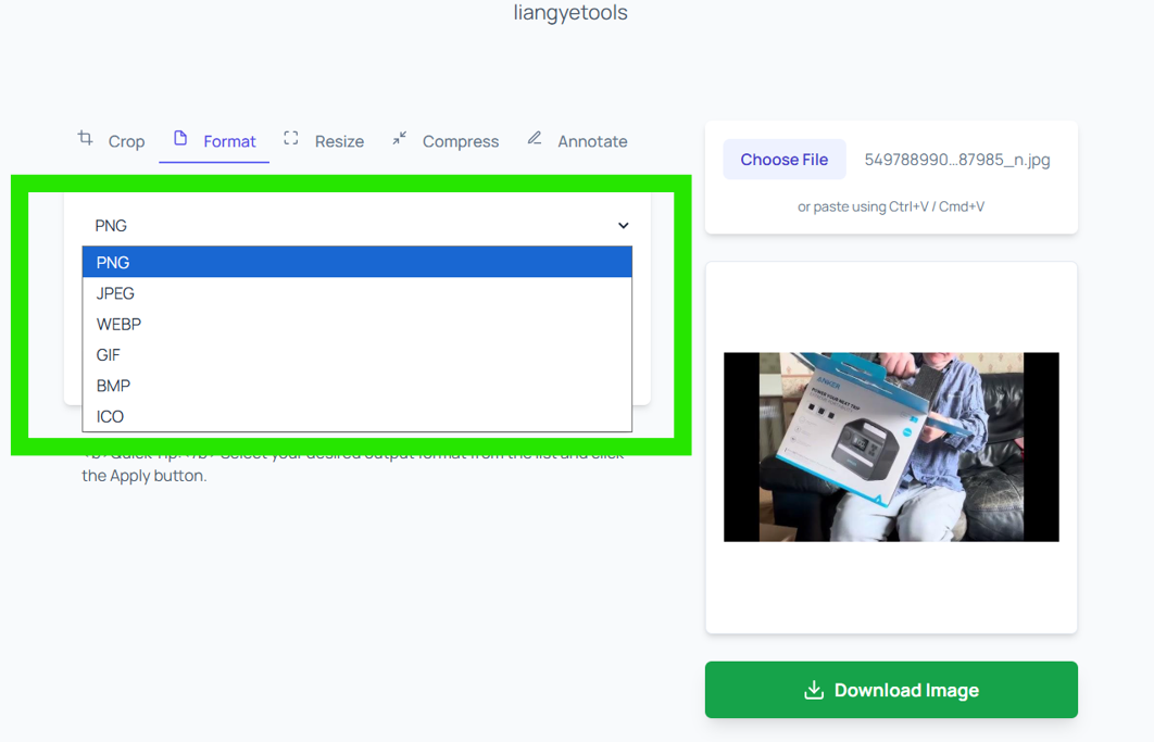 Format tool showing selected format and Convert Format button in liangyetools